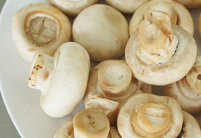 口蘑是什么蘑菇图解，口蘑为什么叫口蘑