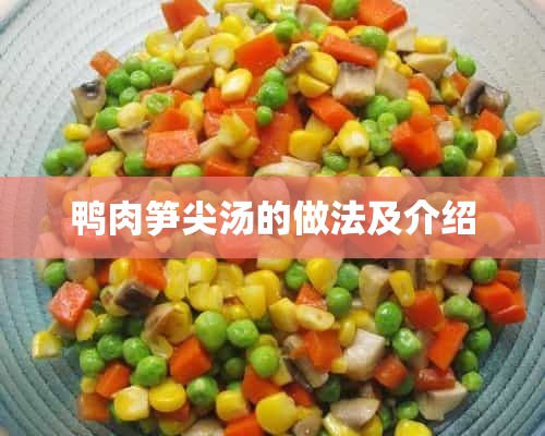 鸭肉笋尖汤的做法及介绍