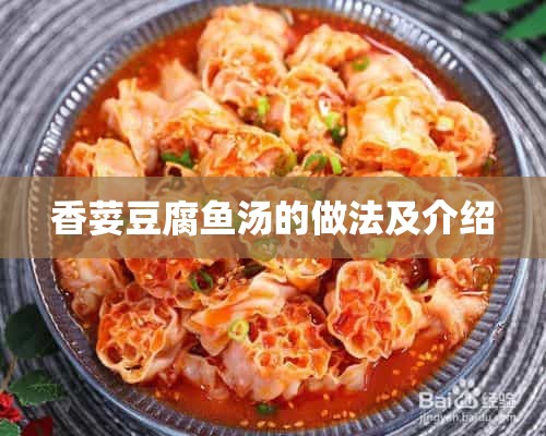 香荽豆腐鱼汤的做法及介绍