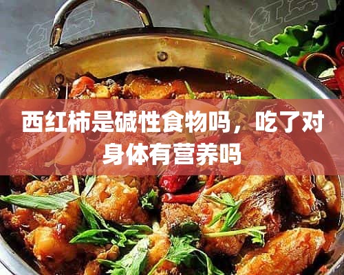 西红柿是碱性食物吗，吃了对身体有营养吗