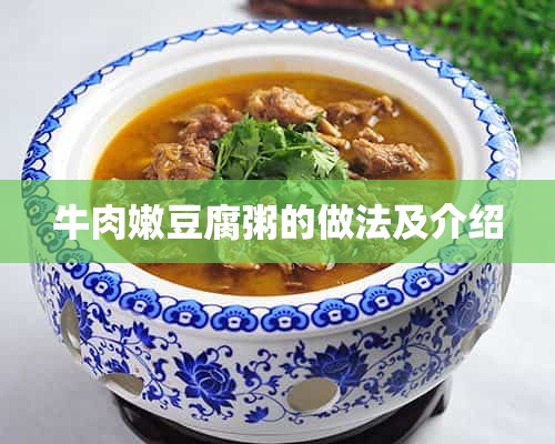 牛肉嫩豆腐粥的做法及介绍