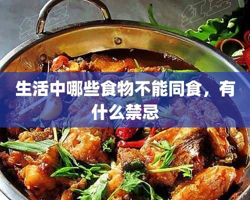 生活中哪些食物不能同食，有什么禁忌