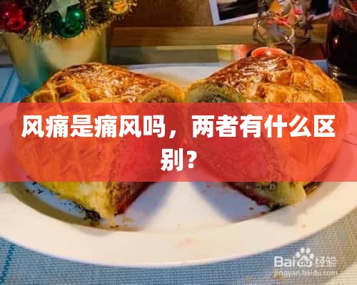 风痛是痛风吗，两者有什么区别？