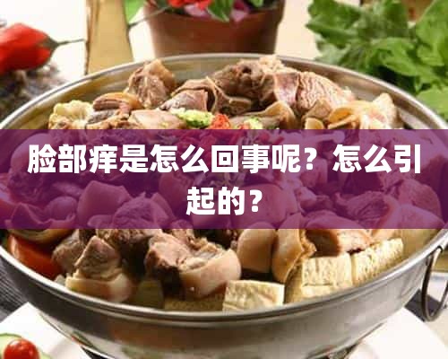 脸部痒是怎么回事呢？怎么引起的？