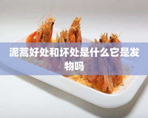 泥蒿好处和坏处是什么它是发物吗