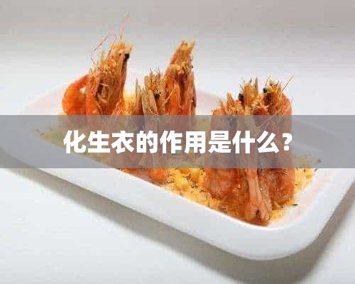 化生衣的作用是什么？