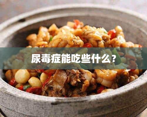 尿毒症能吃些什么？