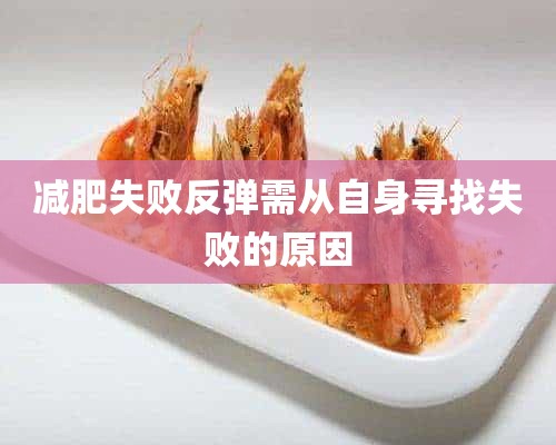 减肥失败反弹需从自身寻找失败的原因