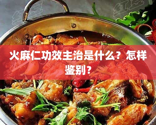 火麻仁功效主治是什么？怎样鉴别？