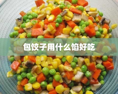 包饺子用什么馅好吃