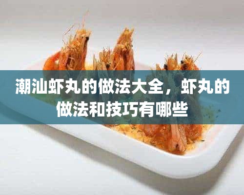 潮汕虾丸的做法大全，虾丸的做法和技巧有哪些