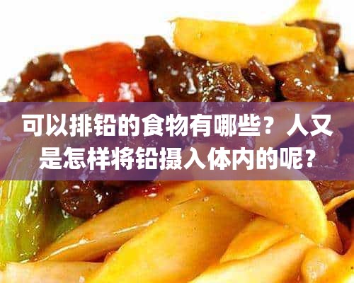 可以排铅的食物有哪些？人又是怎样将铅摄入体内的呢？