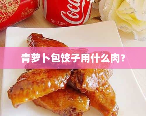 青萝卜包饺子用什么肉？