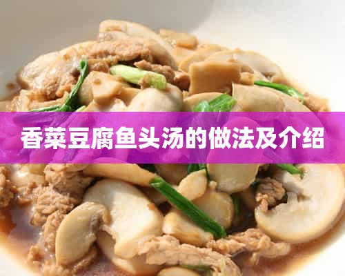 鱼头汤炖豆腐怎么做
