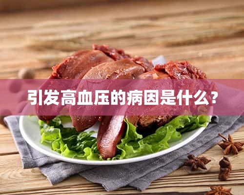 引发高血压的病因是什么？